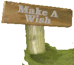 Make A Wish